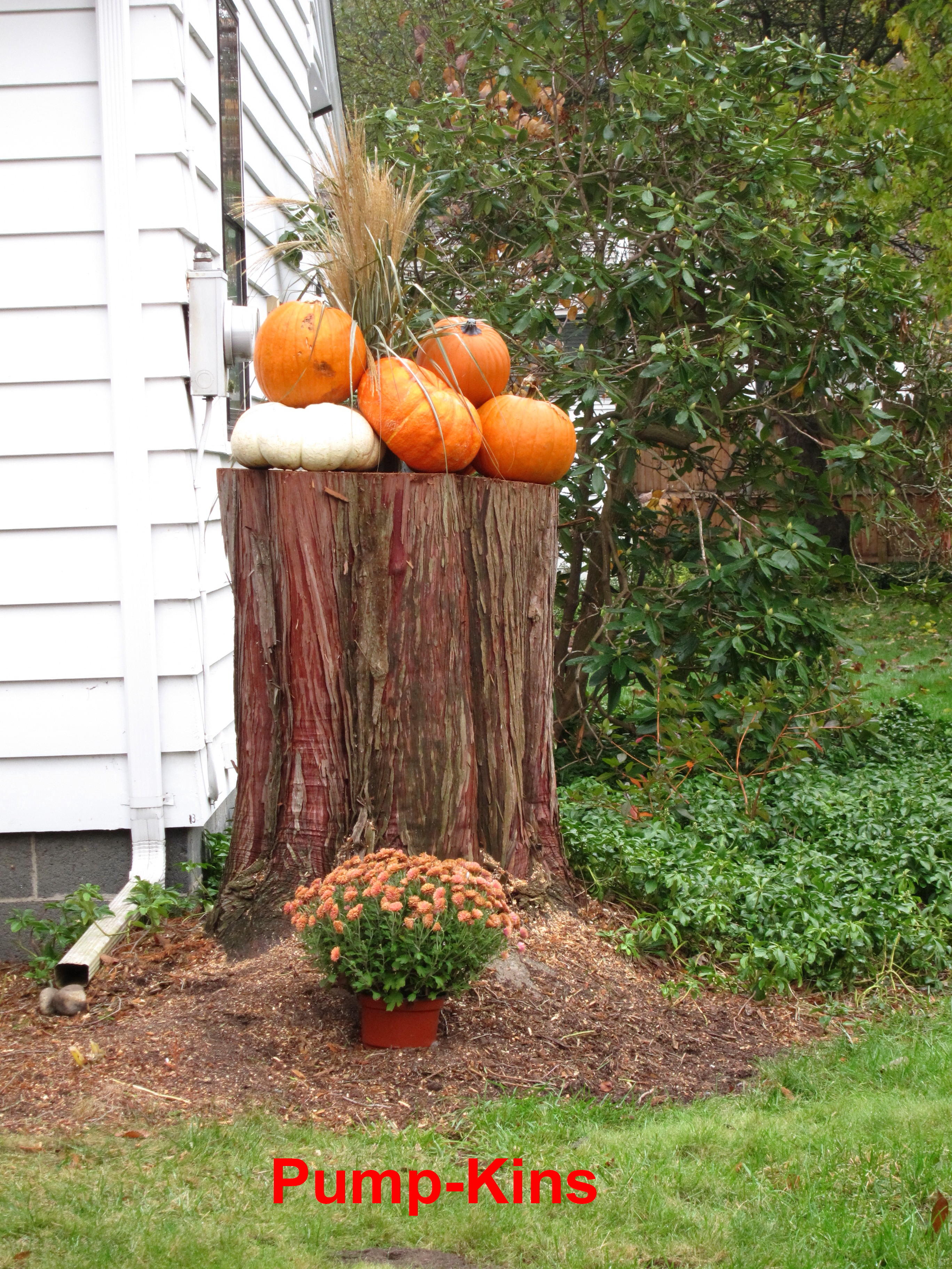 Pump-Kins